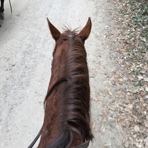 Meet your Posher, Ken